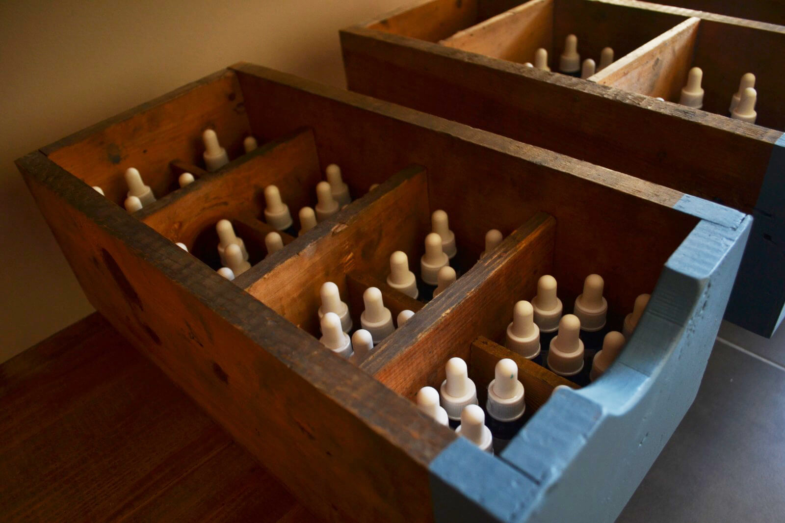 terapia floral 3 terapia floral 3